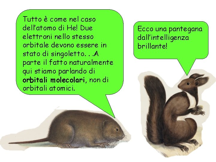 Tutto è come nel caso dell’atomo di He! Due elettroni nello stesso orbitale devono