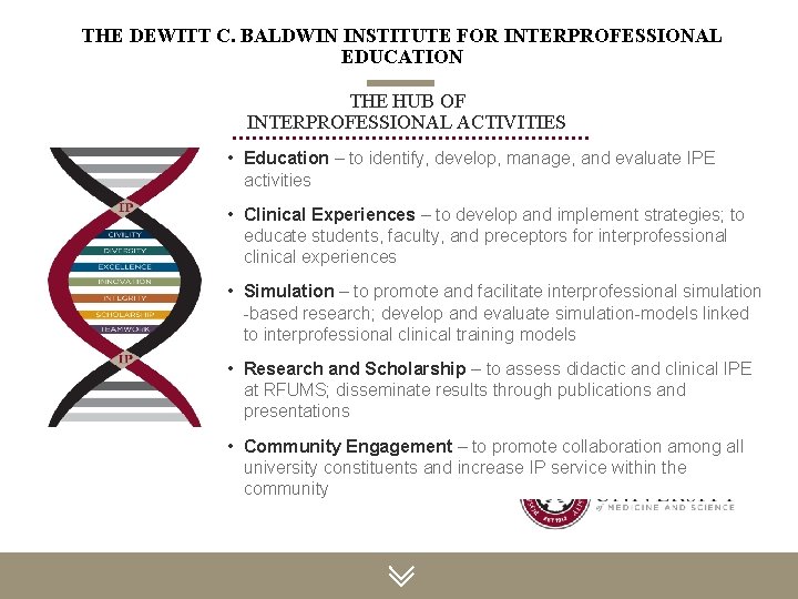THE DEWITT C. BALDWIN INSTITUTE FOR INTERPROFESSIONAL EDUCATION THE HUB OF INTERPROFESSIONAL ACTIVITIES •