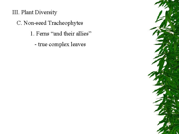 III. Plant Diversity C. Non-seed Tracheophytes 1. Ferns “and their allies” - true complex