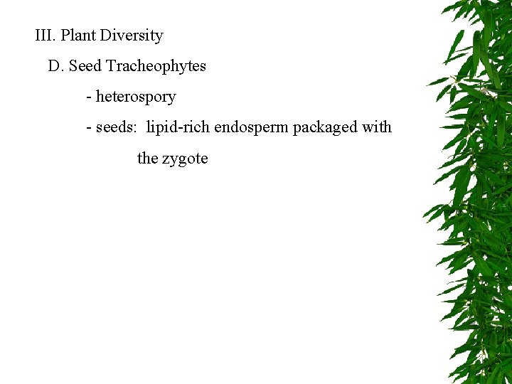 III. Plant Diversity D. Seed Tracheophytes - heterospory - seeds: lipid-rich endosperm packaged with