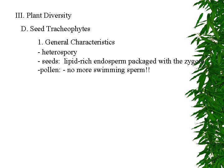 III. Plant Diversity D. Seed Tracheophytes 1. General Characteristics - heterospory - seeds: lipid-rich