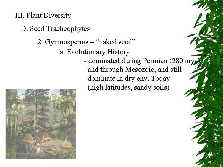 III. Plant Diversity D. Seed Tracheophytes 2. Gymnosperms – “naked seed” a. Evolutionary History