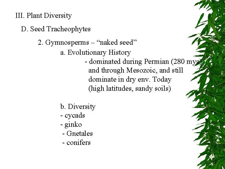 III. Plant Diversity D. Seed Tracheophytes 2. Gymnosperms – “naked seed” a. Evolutionary History