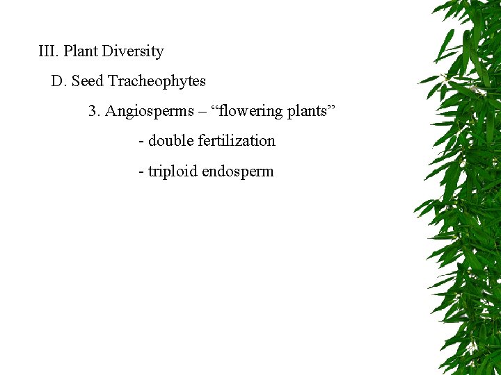 III. Plant Diversity D. Seed Tracheophytes 3. Angiosperms – “flowering plants” - double fertilization
