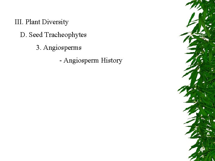 III. Plant Diversity D. Seed Tracheophytes 3. Angiosperms - Angiosperm History 