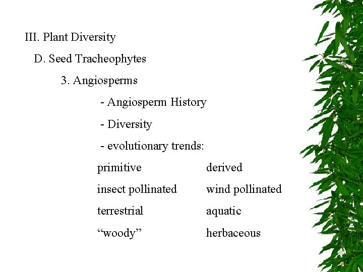 III. Plant Diversity D. Seed Tracheophytes 3. Angiosperms - Angiosperm History - Diversity -