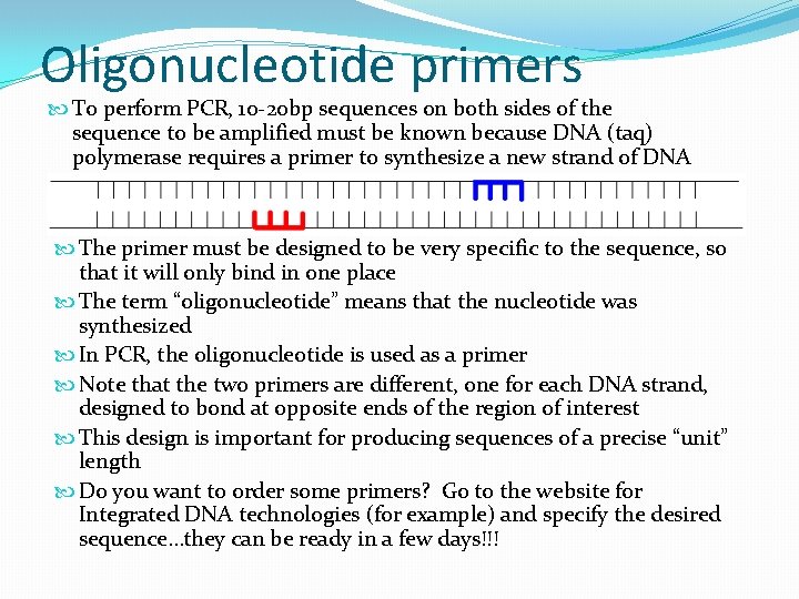 Oligonucleotide primers To perform PCR, 10 -20 bp sequences on both sides of the