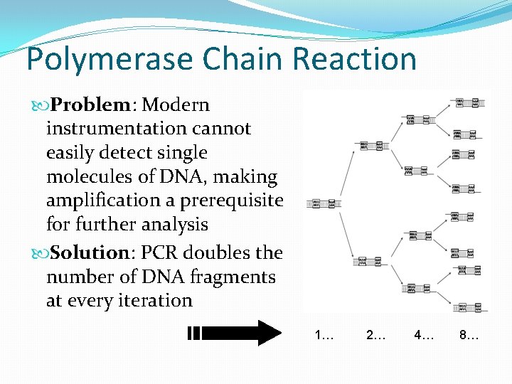 Polymerase Chain Reaction Problem: Modern instrumentation cannot easily detect single molecules of DNA, making