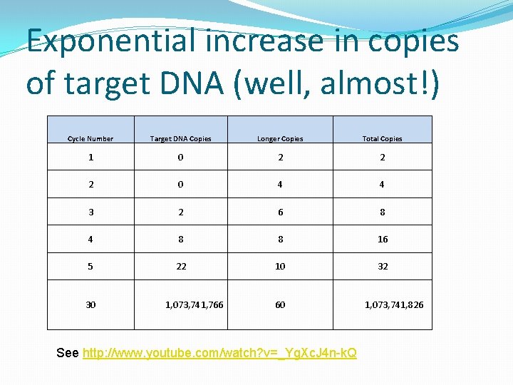 Exponential increase in copies of target DNA (well, almost!) Cycle Number Target DNA Copies
