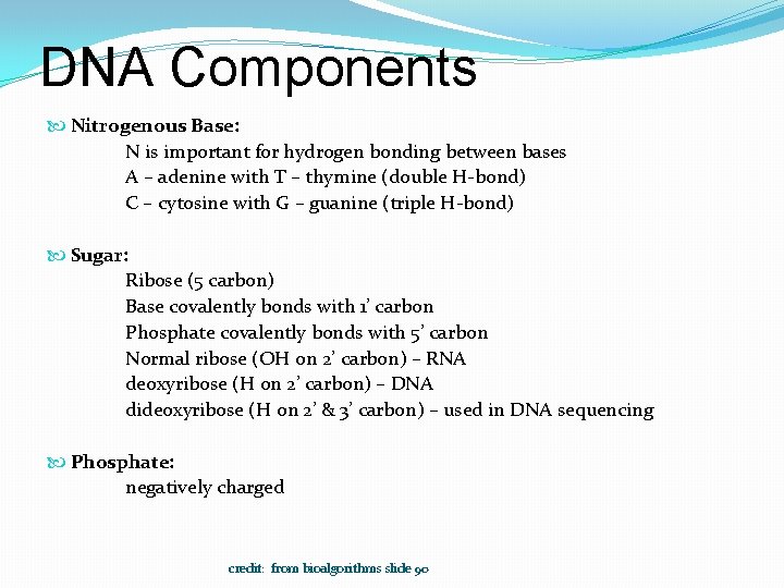 DNA Components Nitrogenous Base: N is important for hydrogen bonding between bases A –