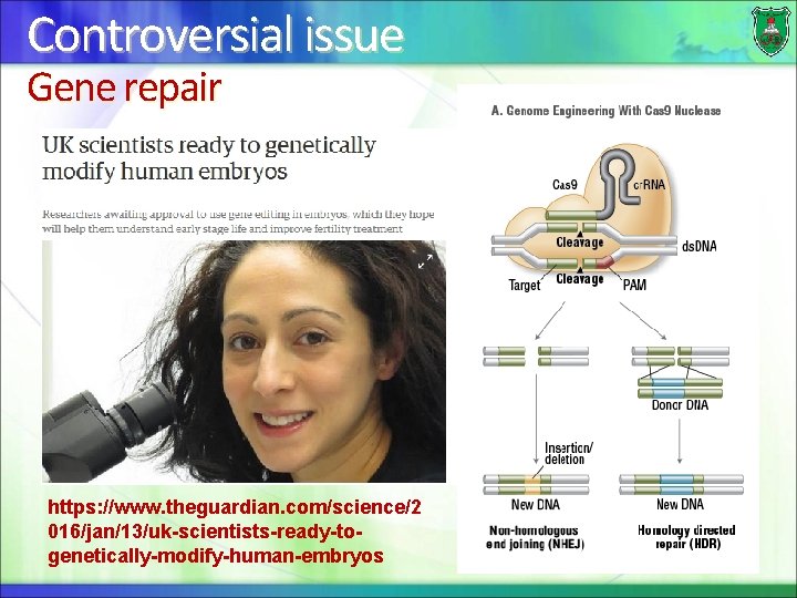 Controversial issue Gene repair https: //www. theguardian. com/science/2 016/jan/13/uk-scientists-ready-togenetically-modify-human-embryos 