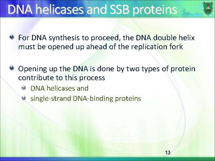 DNA helicases and SSB proteins For DNA synthesis to proceed, the DNA double helix