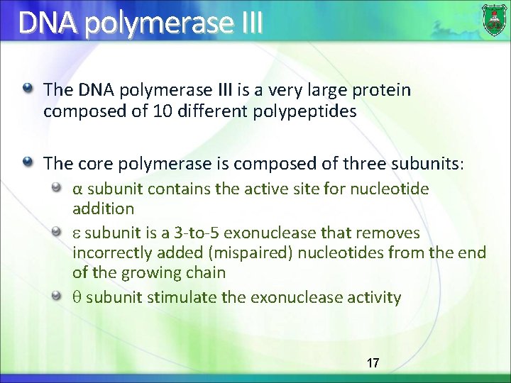 DNA polymerase III The DNA polymerase III is a very large protein composed of