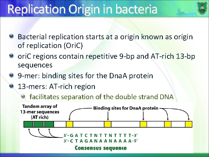 Replication Origin in bacteria Bacterial replication starts at a origin known as origin of