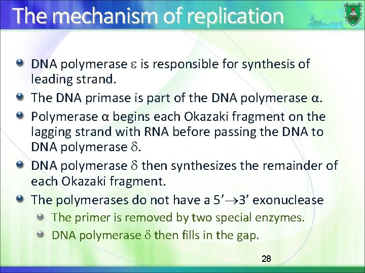 The mechanism of replication DNA polymerase is responsible for synthesis of leading strand. The