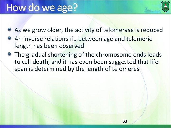 How do we age? As we grow older, the activity of telomerase is reduced