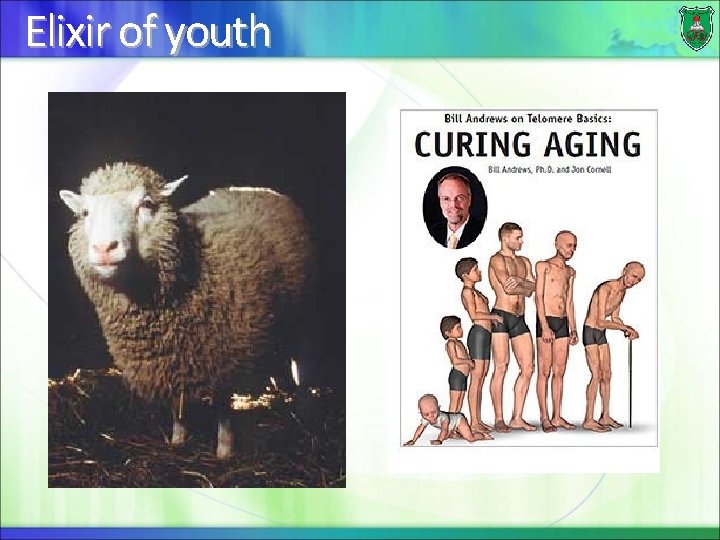 Elixir of youth 