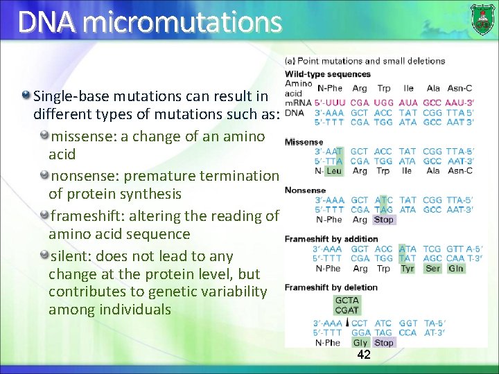 DNA micromutations Single-base mutations can result in different types of mutations such as: missense: