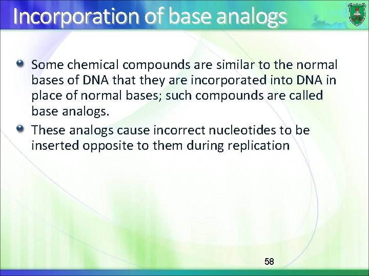 Incorporation of base analogs Some chemical compounds are similar to the normal bases of