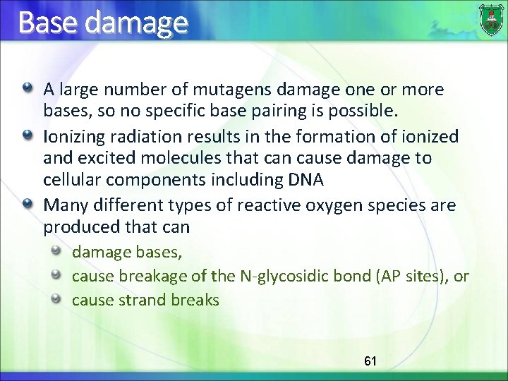 Base damage A large number of mutagens damage one or more bases, so no