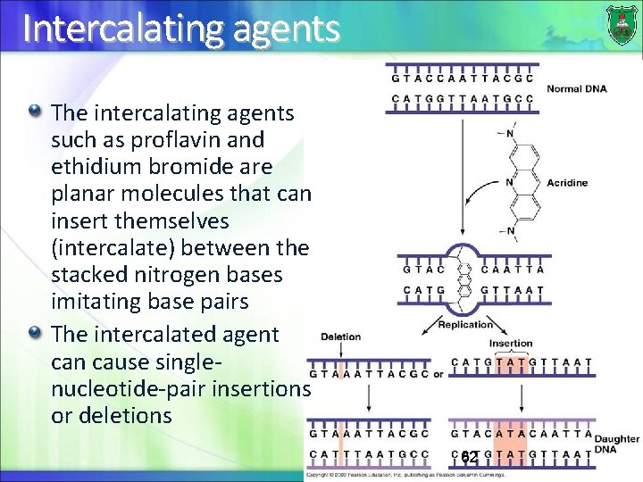 Intercalating agents The intercalating agents such as proflavin and ethidium bromide are planar molecules