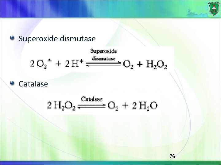 Superoxide dismutase Catalase 76 