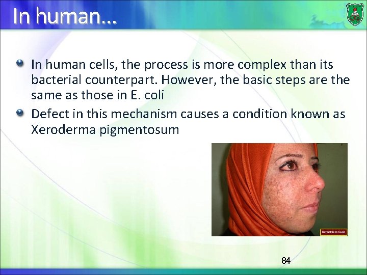 In human… In human cells, the process is more complex than its bacterial counterpart.