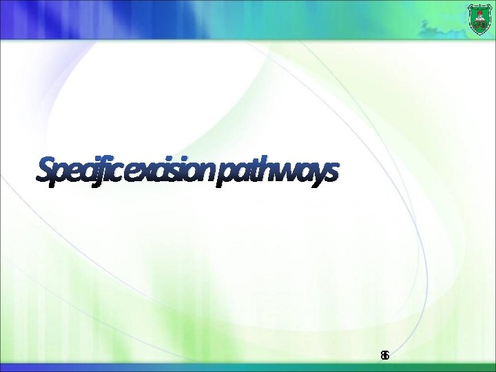Specificexcisionpathways 86 