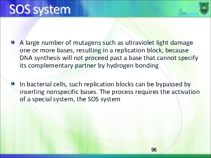 SOS system A large number of mutagens such as ultraviolet light damage one or