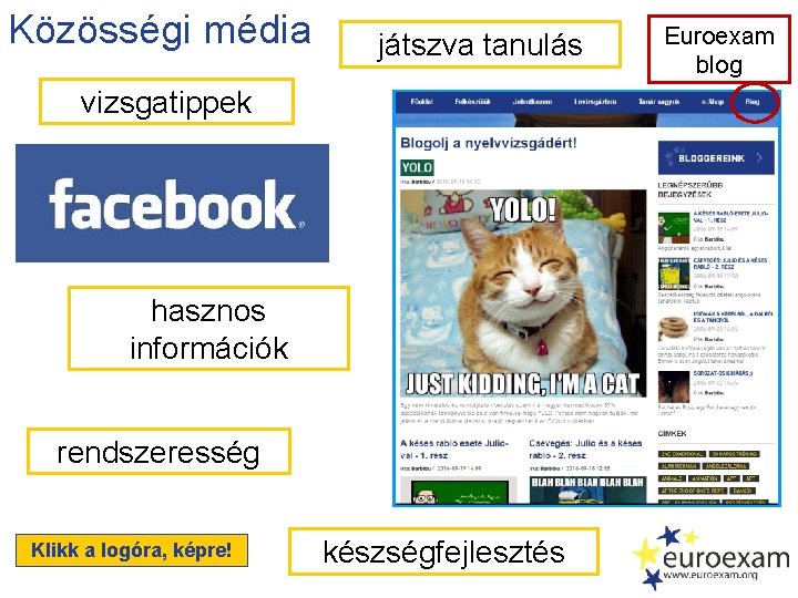 Közösségi média játszva tanulás vizsgatippek hasznos információk rendszeresség Klikk a logóra, képre! készségfejlesztés Euroexam
