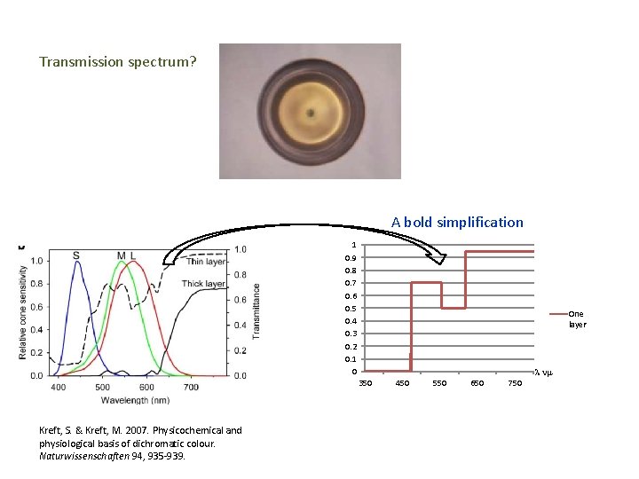 Transmission spectrum? A bold simplification 1 0. 9 0. 8 0. 7 0. 6