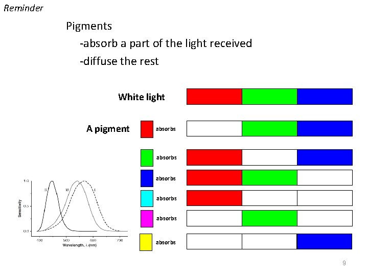Reminder Pigments ‐absorb a part of the light received ‐diffuse the rest White light