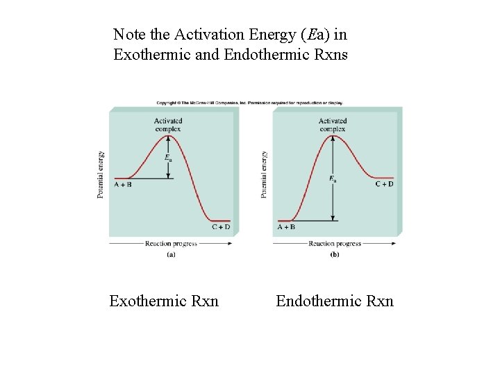 Note the Activation Energy (Ea) in Exothermic and Endothermic Rxns Exothermic Rxn Endothermic Rxn