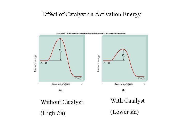 Effect of Catalyst on Activation Energy Without Catalyst With Catalyst (High Ea) (Lower Ea)