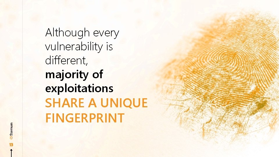 Although every vulnerability is different, majority of exploitations SHARE A UNIQUE FINGERPRINT 13 
