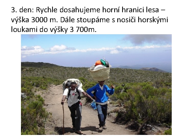 3. den: Rychle dosahujeme horní hranici lesa – výška 3000 m. Dále stoupáme s