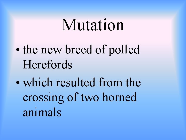 Mutation • the new breed of polled Herefords • which resulted from the crossing