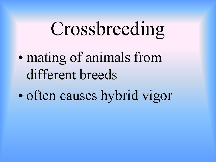 Crossbreeding • mating of animals from different breeds • often causes hybrid vigor 