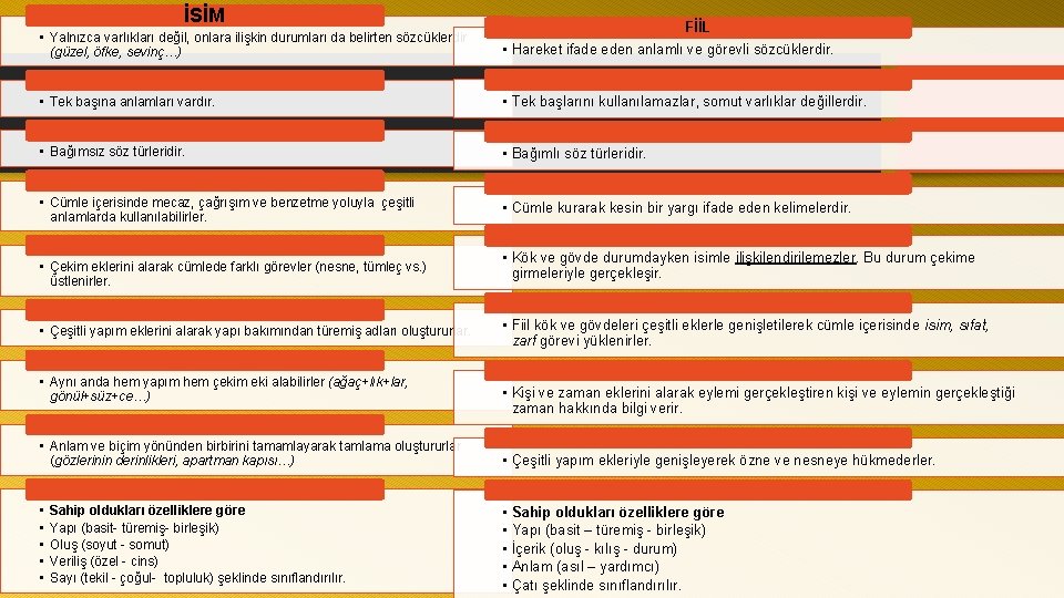 İSİM FİİL • Yalnızca varlıkları değil, onlara ilişkin durumları da belirten sözcüklerdir (güzel, öfke,