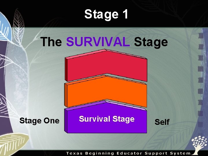 Stage 1 The SURVIVAL Stage One Survival Stage Self 