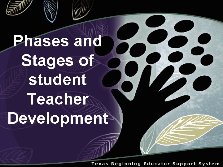 Phases and Stages of student Teacher Development 