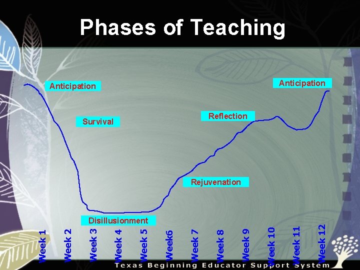 Phases of Teaching Anticipation Reflection Survival Week 11 Week 10 Week 9 Week 8