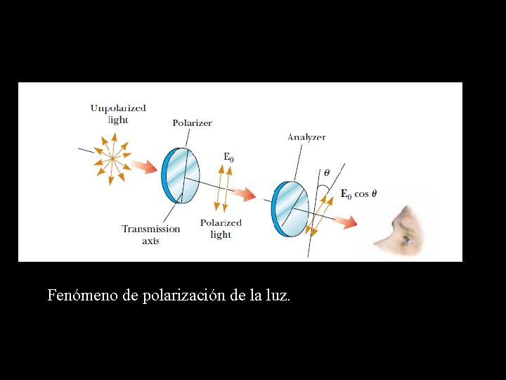Fenómeno de polarización de la luz. 
