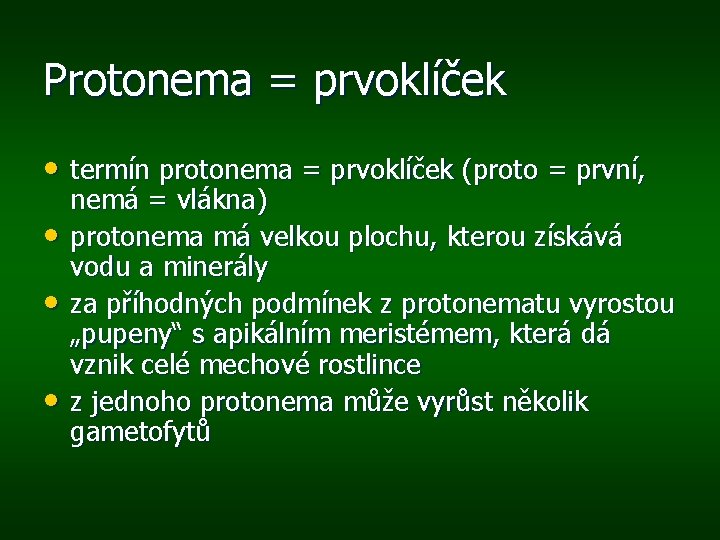 Protonema = prvoklíček • termín protonema = prvoklíček (proto = první, • • •