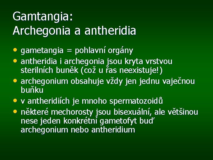 Gamtangia: Archegonia a antheridia • gametangia = pohlavní orgány • antheridia i archegonia jsou