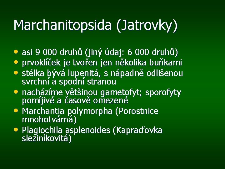 Marchanitopsida (Jatrovky) • asi 9 000 druhů (jiný údaj: 6 000 druhů) • prvoklíček