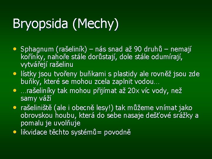 Bryopsida (Mechy) • Sphagnum (rašeliník) – nás snad až 90 druhů – nemají •