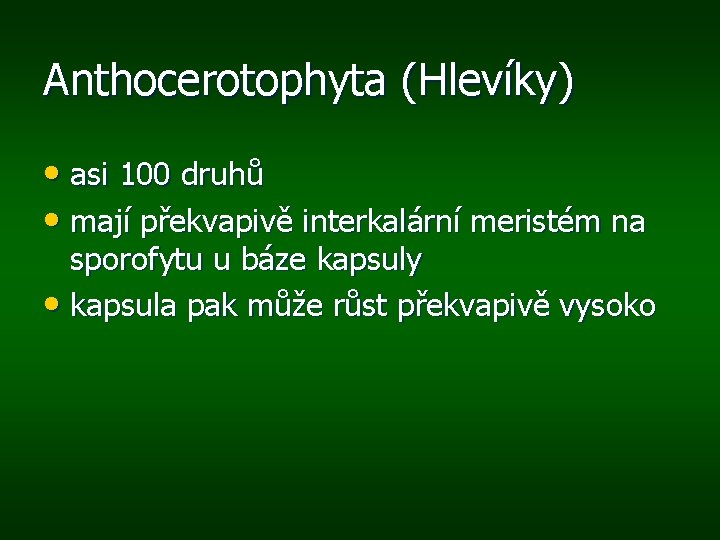 Anthocerotophyta (Hlevíky) • asi 100 druhů • mají překvapivě interkalární meristém na sporofytu u