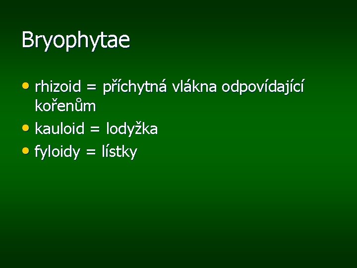 Bryophytae • rhizoid = příchytná vlákna odpovídající kořenům • kauloid = lodyžka • fyloidy