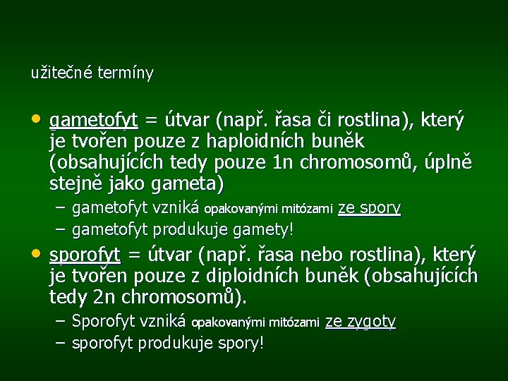 užitečné termíny • gametofyt = útvar (např. řasa či rostlina), který je tvořen pouze